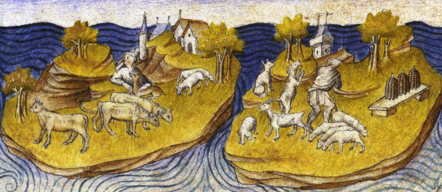 Voyage au cœur des mondes rêvés
