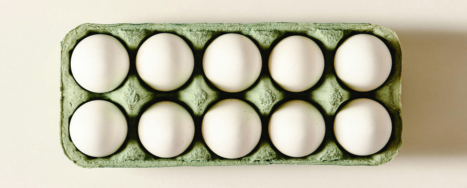 Petit traité de l’œuf