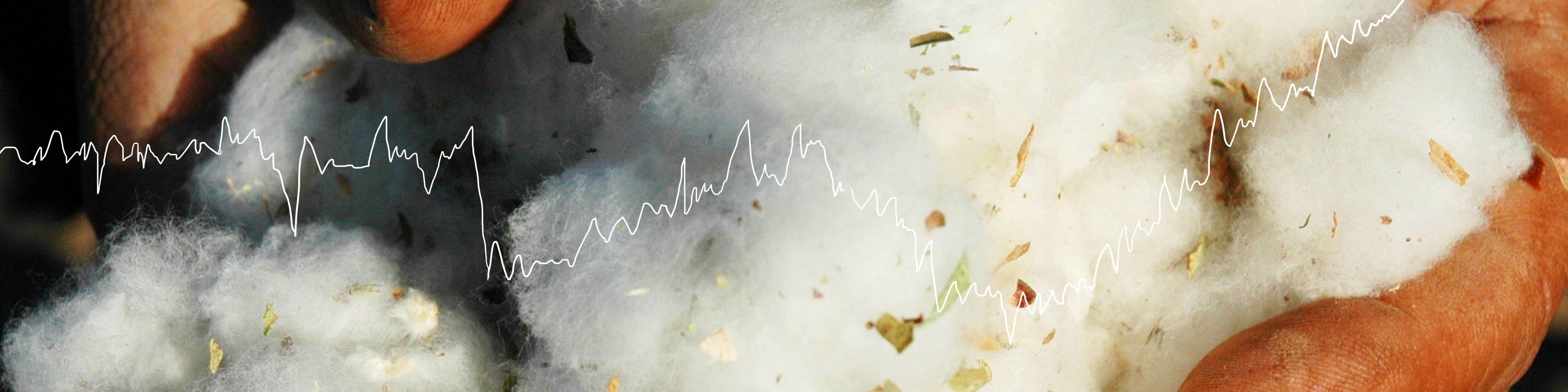 Comment expliquer le prix de nos vêtements chez Talc ?